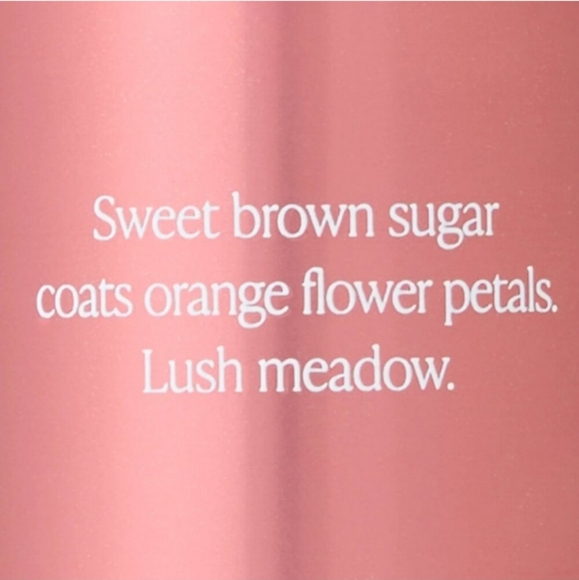 VS BODY MIST - Picture 2 of 6